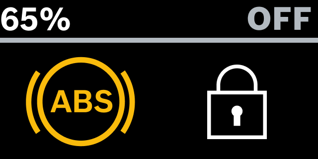 Abs Error ABS screen