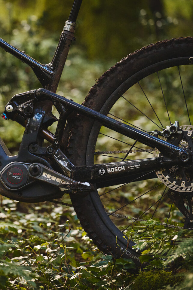 Nahaufnahme eines eMTBs, das von der leistungsstarken Bosch Performance Line CX Race (CX-R) Drive Unit angetrieben wird. Das eBike steht auf einem von Farnen bedeckten Trial im Wald.