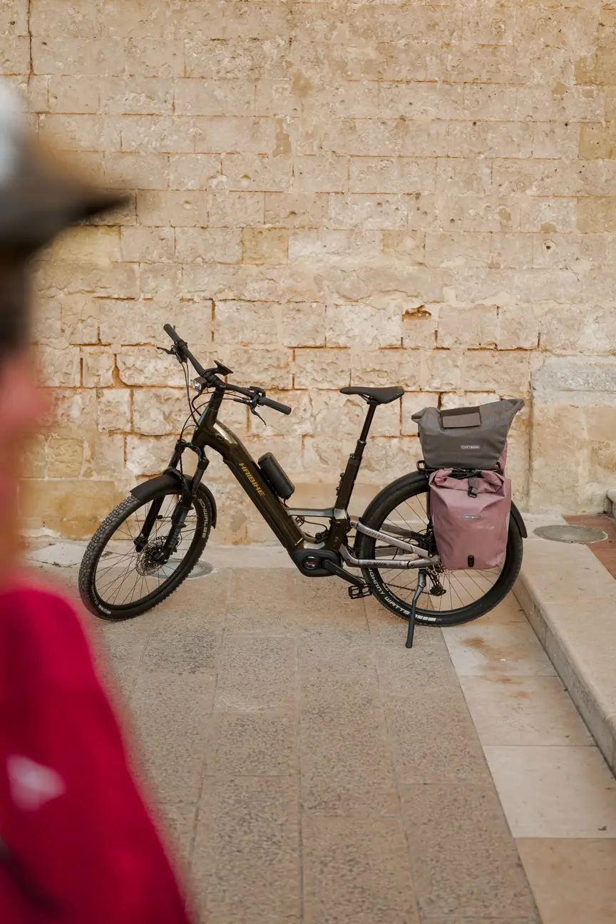 Una eBike nera è posizionata su un sentiero asfaltato davanti a una vecchia parete in pietra. Una borsa grigia e rosa è fissata al portapacchi posteriore.