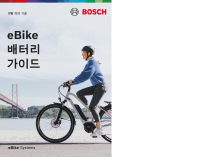 Cover einer Produktbroschüre mit dem Text "Dein eBike-Akku-Guide". Als Hintergrundbild ist eine eBike-Fahrerin zu sehen. Unten rechts steht "eBike Systems".