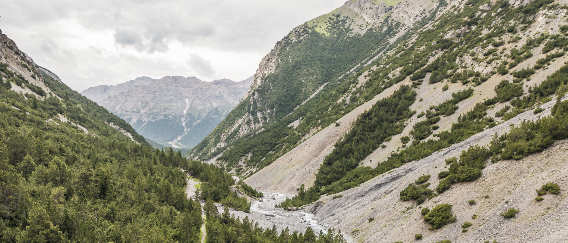 Vogelperspektive auf ein grün bewachsenes Bergtal, durch das ein Bach und daneben ein Weg führt. Im Hintergrund Berge und bewölkter Himmel. 