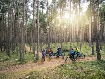 A group of eMountain bikers gathers at a crossroads in a coniferous forest.