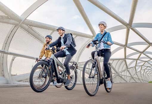 RFR manivela E-Bike pro 170 mm bicicleta kurbelarm Isis compatible con motor Bosch 