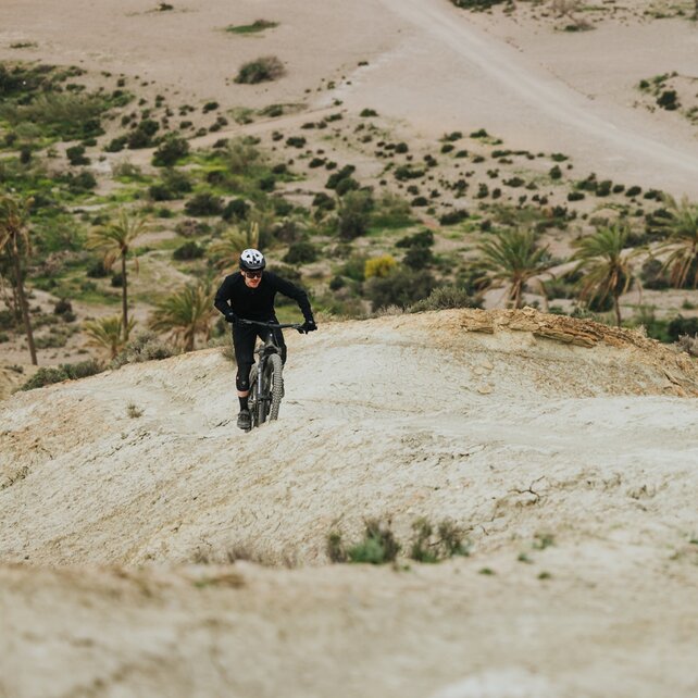 Ein eMountainbiker fährt auf einem schmalen Grat einer sandigen, kargen Hügellandschaft einen Berg hinauf. Im Hintergrund erstreckt sich ein trockenes Tal mit Palmen und vereinzelter Vegetation.