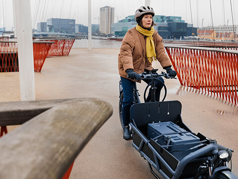 A Cargo eBike rider crosses a wide bridge, with a city visible in the background.
