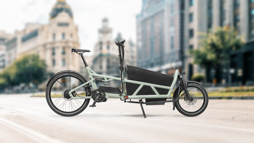 Seitenansicht eines eCargo eBikes mit einer Stadt im Hintergrund.