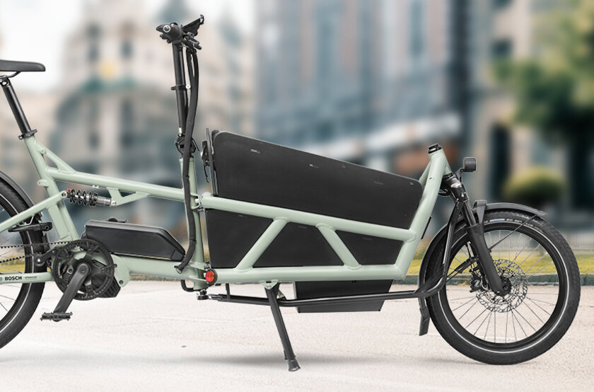 Seitenansicht eines eCargo eBikes mit einer Stadt im Hintergrund.