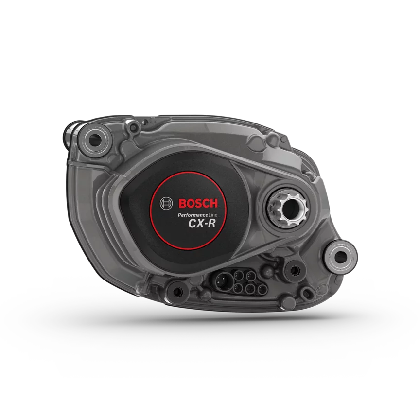The Performance Line CX (BDU384Y) isolated on a white background.