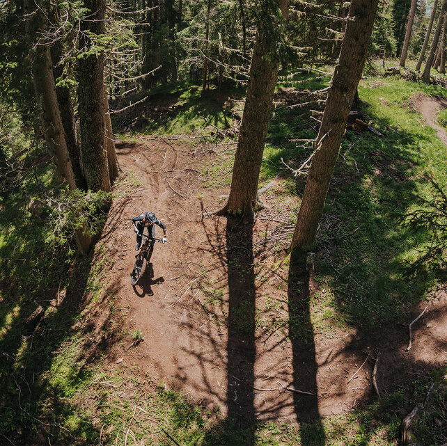 Un eBiker che percorre un sentiero sterrato nel bosco in Alto Adige.