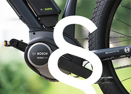 CX Gen4 Tuning per bicicletta elettrica Bosch Active Line Wiesel Performance Line 