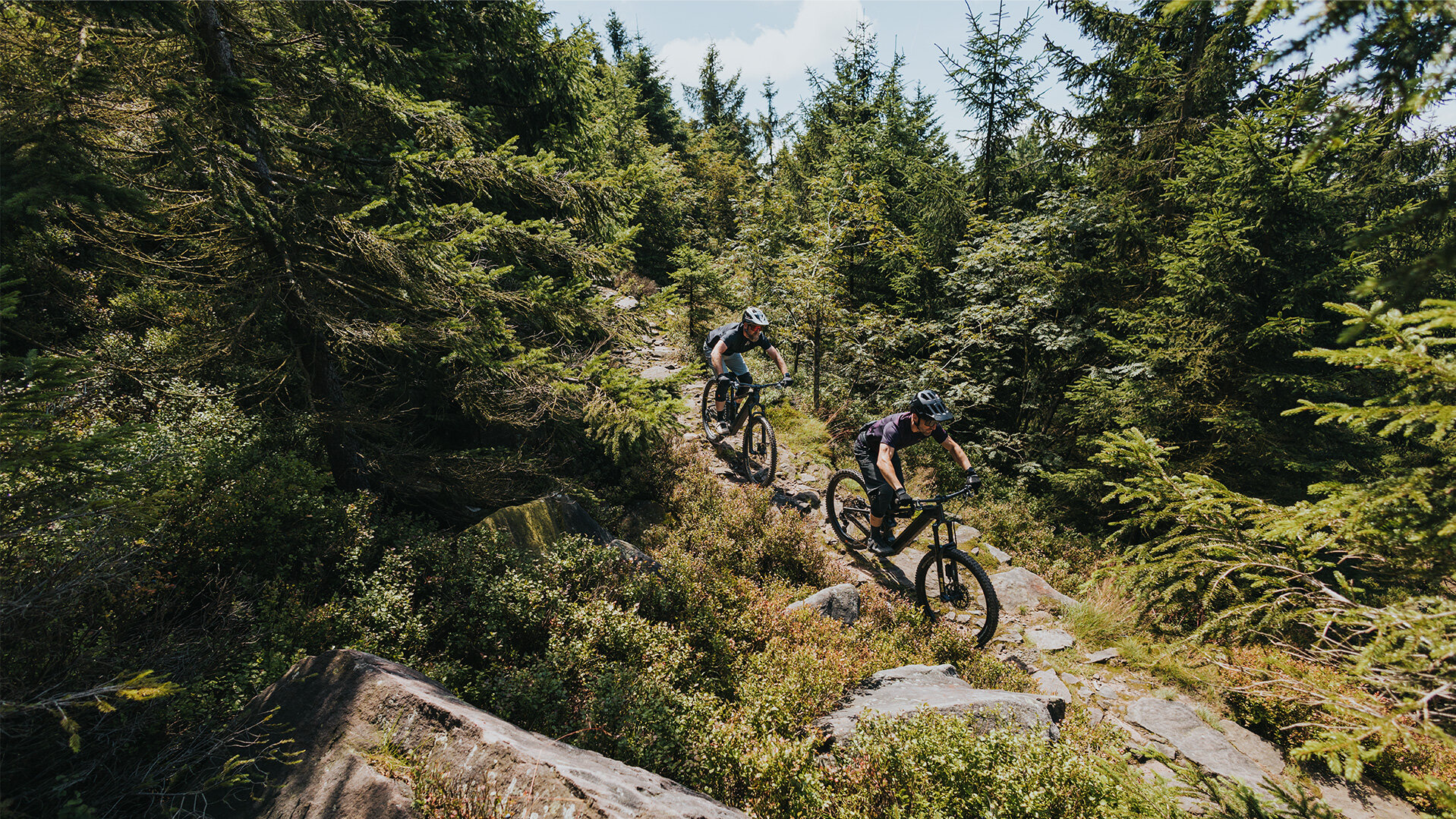 Due due ciclisti elettrici percorrono un sentiero sassoso attraverso un bosco.