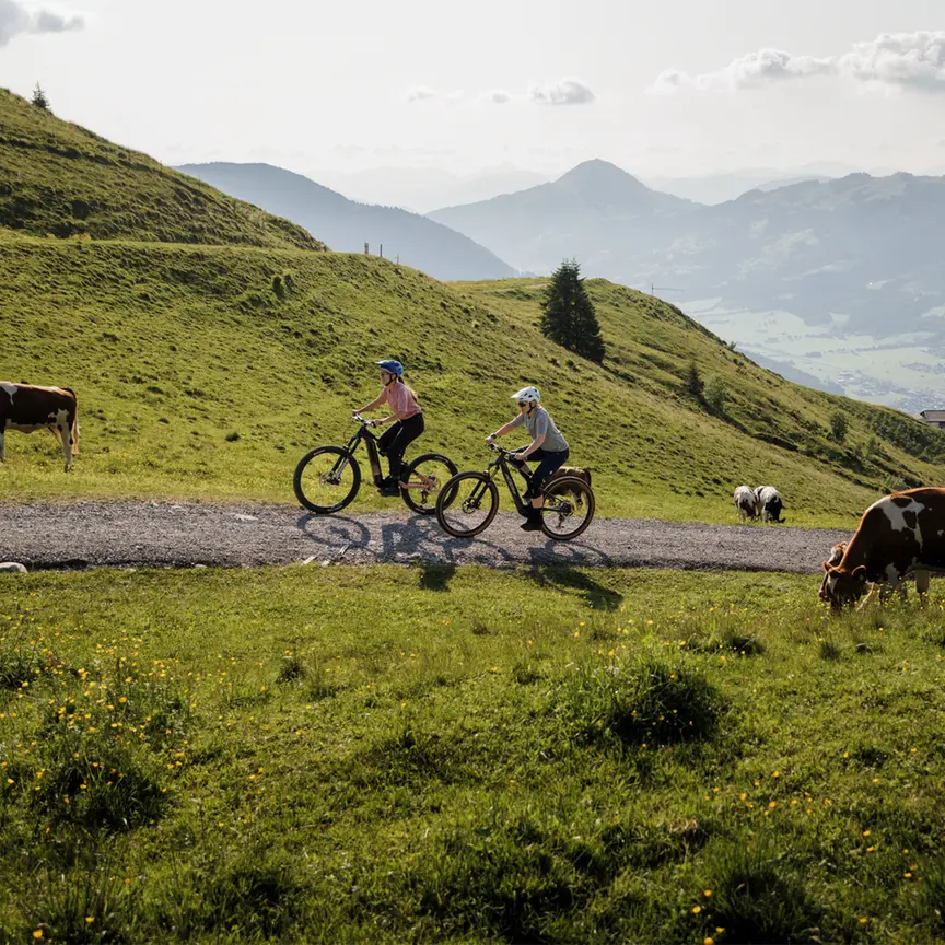 Two people ride eBikes along a rural path through green, rolling hills. Cows are grazing beside the path. In the background, mountains and valleys stretch out beneath a slightly cloudy sky.