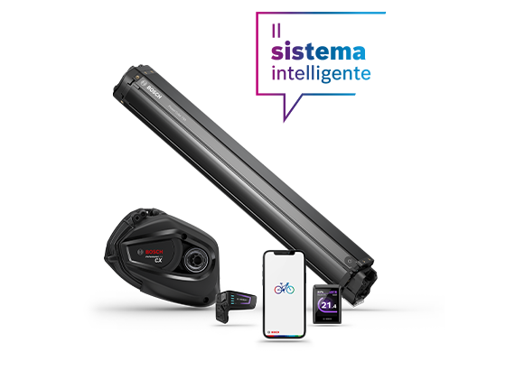 Rappresentazione facoltativa dell'eBike prodotti Bosch del model year 22.