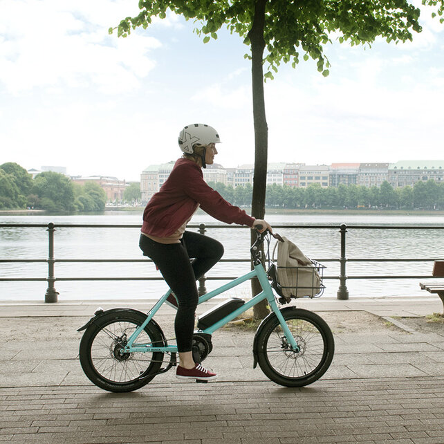 Guida lungo l'Elba in eBike.