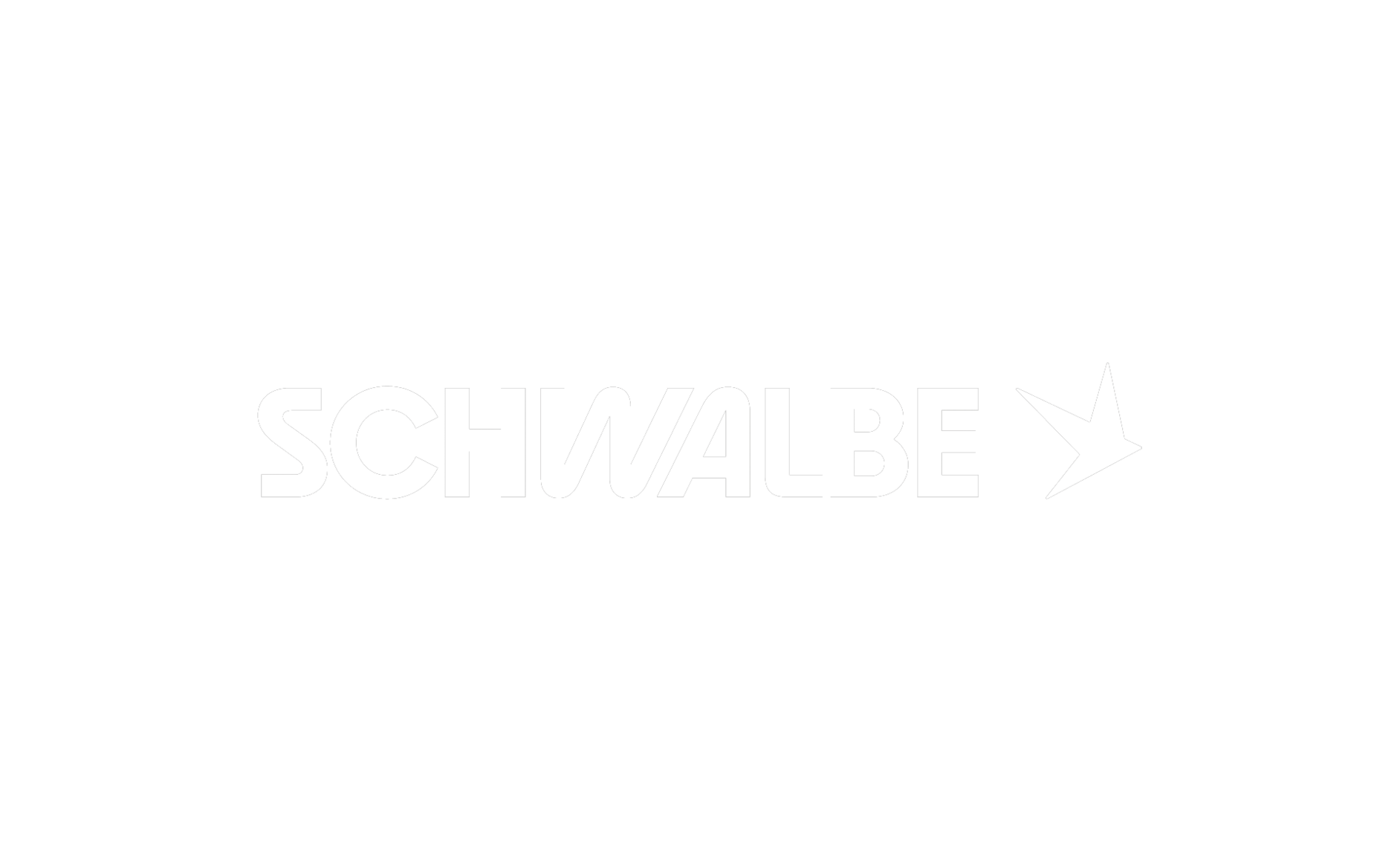 Logo blanc transparent de Schwalbe