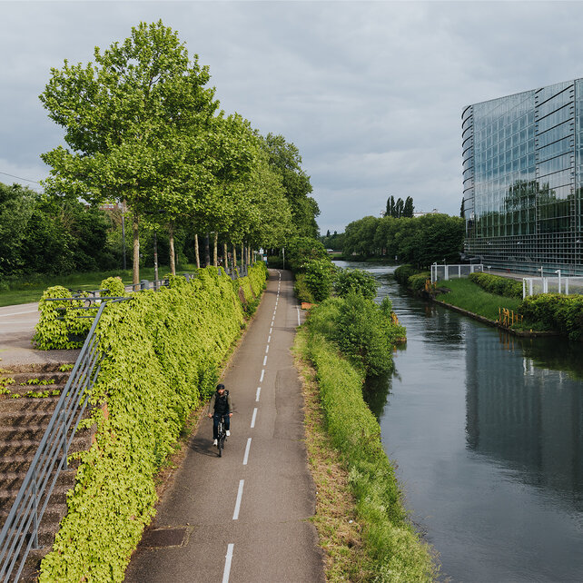 A man rides his eCompact bike along a bicycle street by the river.