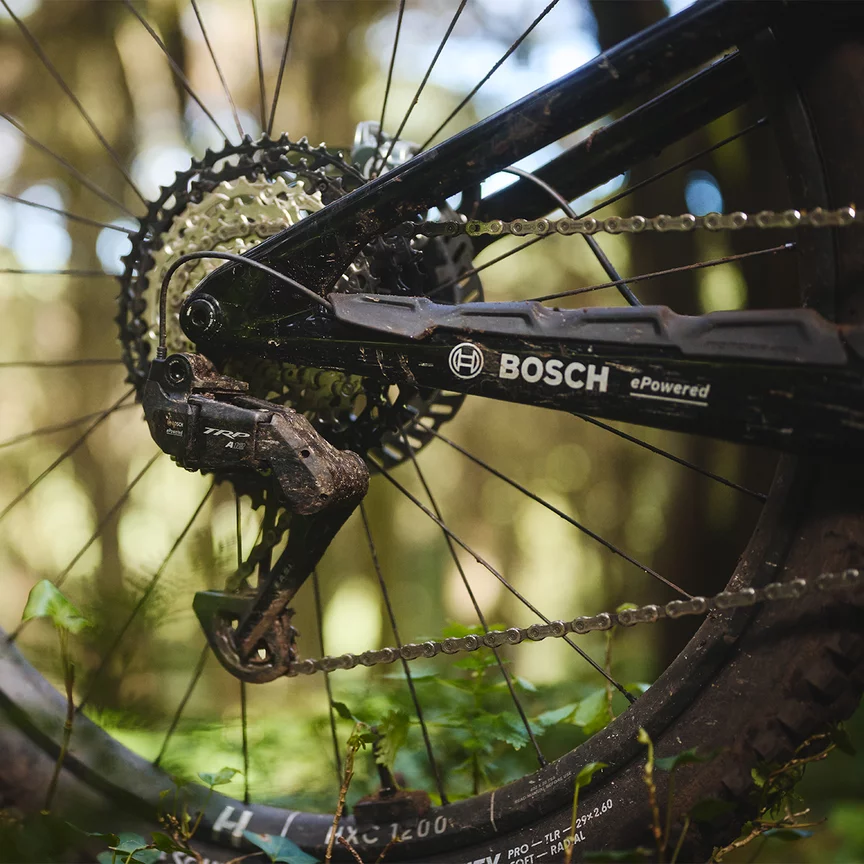 A man rides his orange eMTB through a tall meadow.