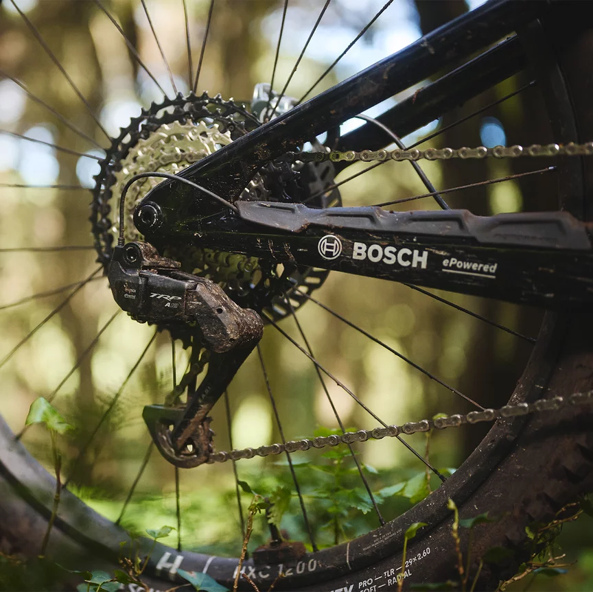 A man rides his orange eMTB through a tall meadow.