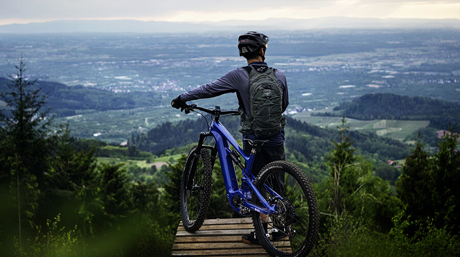Enjoying the view to Alsace with the Bosch eBike 