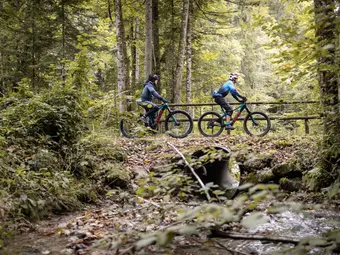 Two individuals are riding their bikes across a bridge in the woods. In the foreground, water and branches are visible.