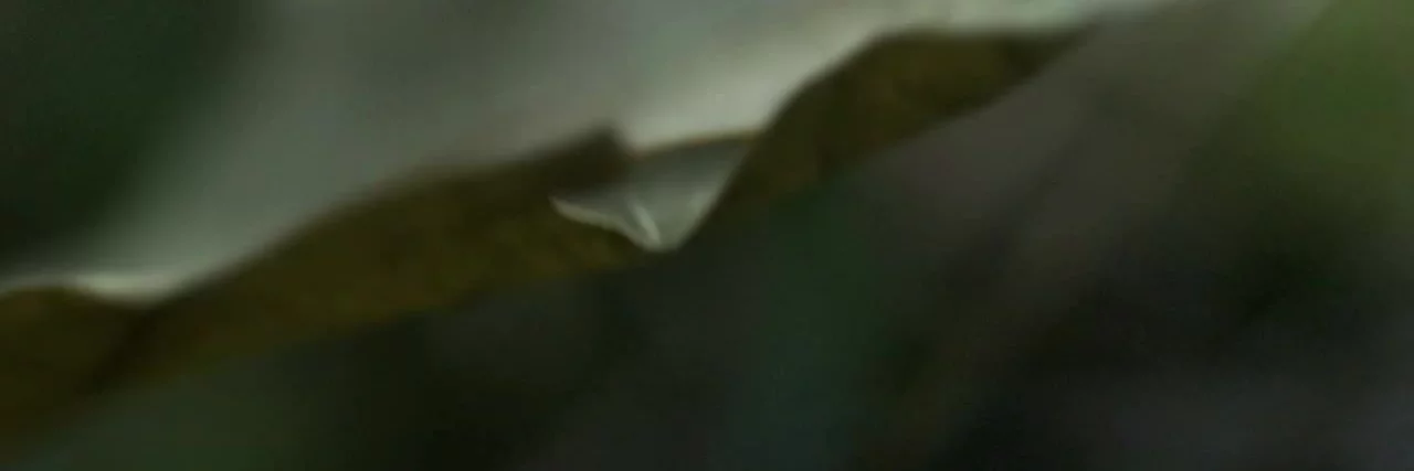 731520_7 731520_7