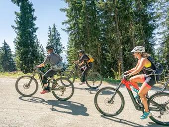 Three women are cycling uphill on a sunny day. Trees can be seen in the background.