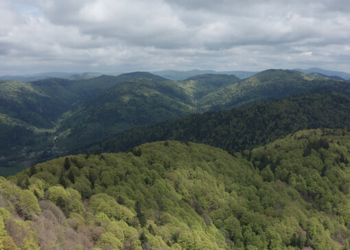 Vue sur un vaste paysage de montagne recouvert de forêts sous un ciel nuageux.