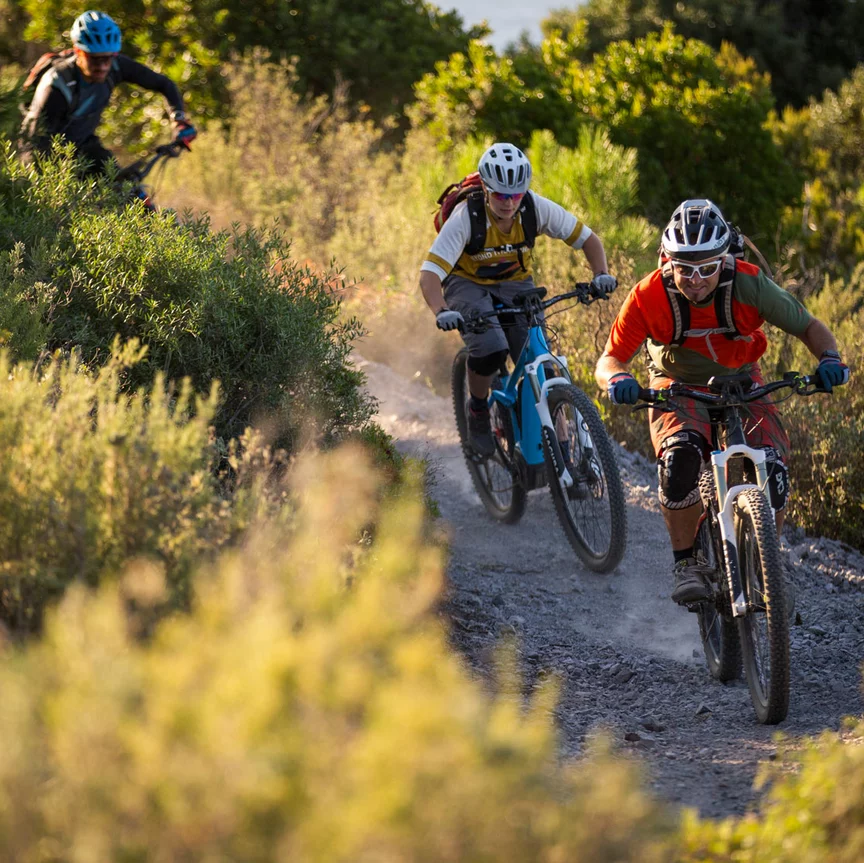 Trois adeptes du vélo électrique descendent une pente dans la forêt sur leurs VAE.