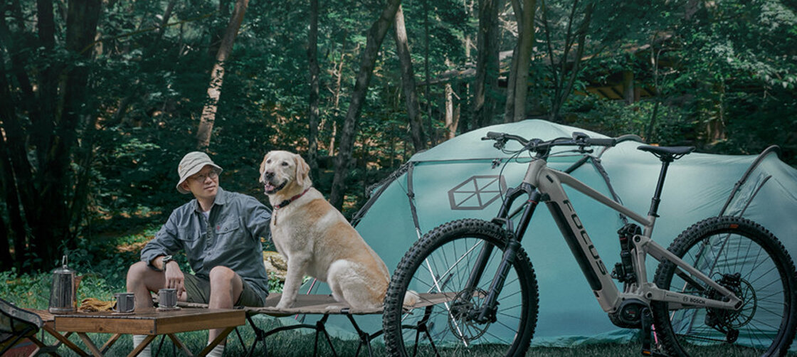 A person camping with a dog
