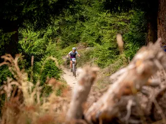 The foreground features blurred branches, with a cyclist riding along a path in the middle of the forest.