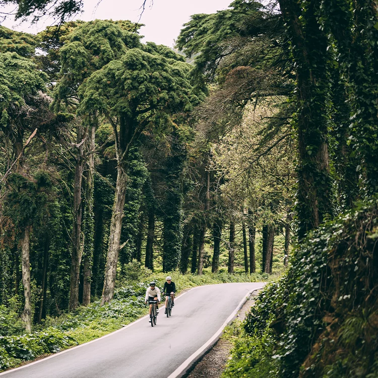 Two eBike riders riding along a paved road in the woods.