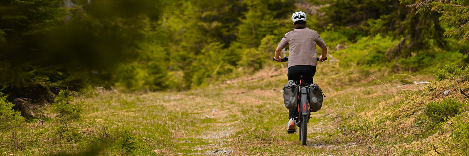 Rückansicht eines Radfahrers mit Helm, der mit zwei großen Gepäcktaschen ausgestatteten eBike einen Weg durch eine Waldlichtung fährt.