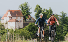 Two people are riding eBikes through a rural landscape with vineyards. One is wearing a blue jacket and a white helmet, while the other is dressed in an orange jacket and a black helmet. In the background, you can see a large building with red roofs surrounded by green trees.