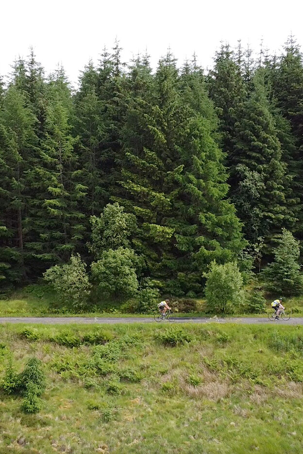 Two individuals are cycling one after the other along a path. In the background, a forest is visible, with a meadow in front of it.