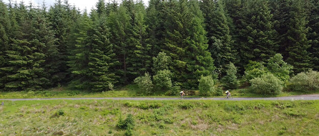 Zwei Personen fahren mit Fahrrädern hintereinander einen Weg entlang. Im Hintergrund ist ein Wald zu sehen, davor eine Wiese.