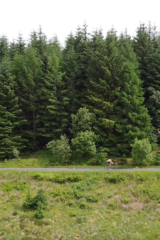 Deux personnes roulent à vélo l'une derrière l'autre le long d'un chemin. En arrière-plan, on aperçoit une forêt, devant laquelle se trouve un pré.