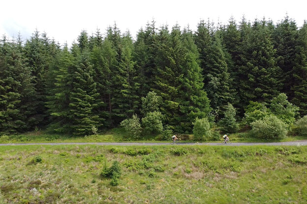 Two individuals are cycling one after the other along a path. In the background, a forest is visible, with a meadow in front of it.