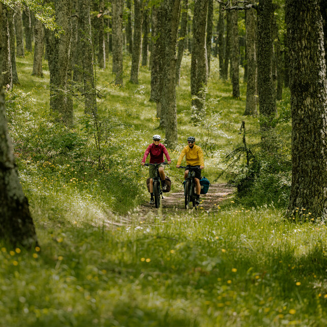 En kvinna och en man cyklar genom en grönskande skog med sina eTrekking-bikes.