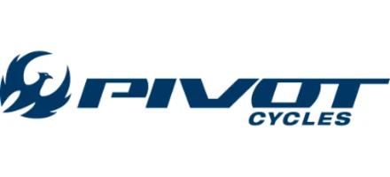 Pivot Cycles