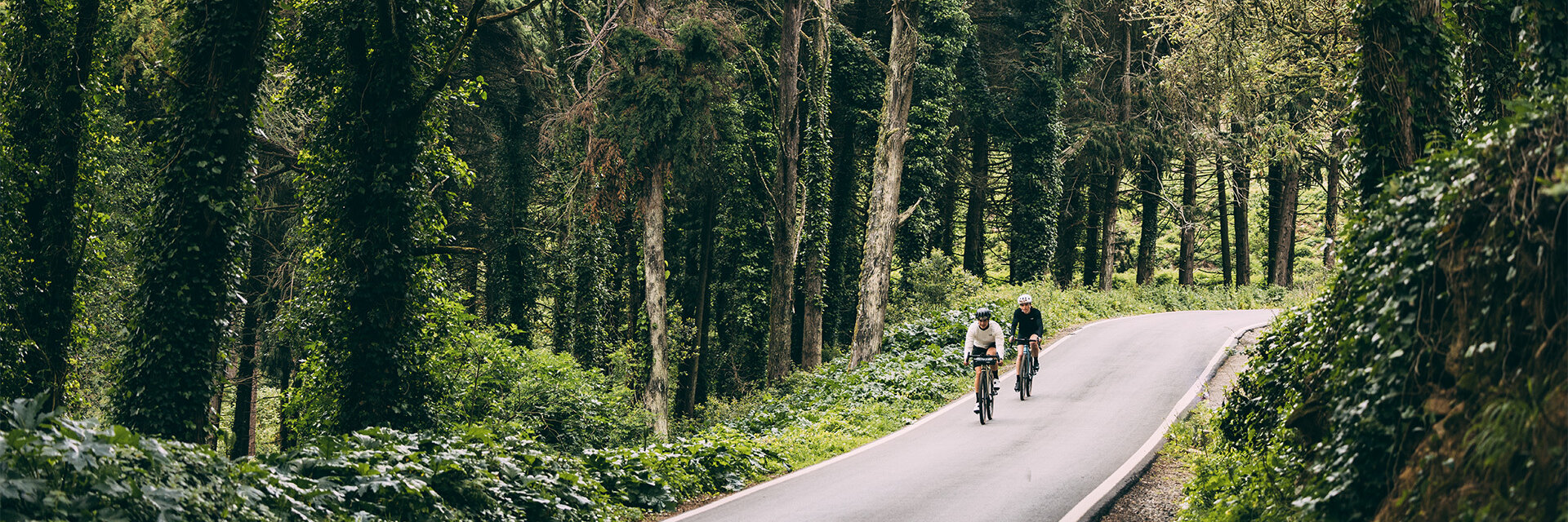 Two eBike riders are riding one after the other along a road surrounded by tall trees and bushes.