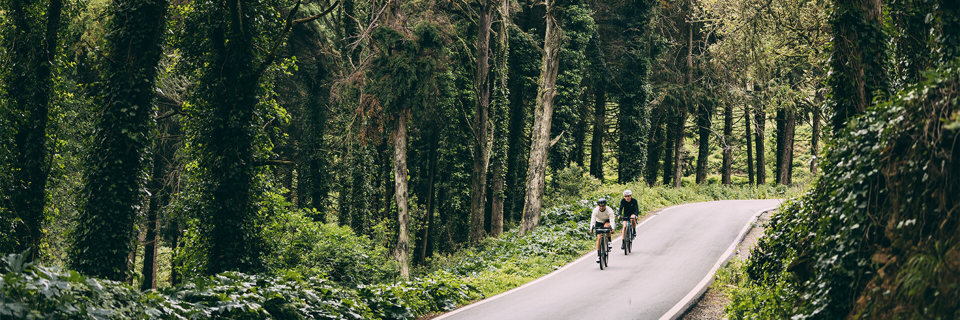 Zwei eBike Fahrer fahren hintereinander eine Straße lang, welche von hohen Bäumen und Büschen umgeben ist.