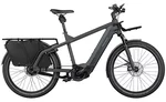 A gray long tail eBike isolated against a white background.