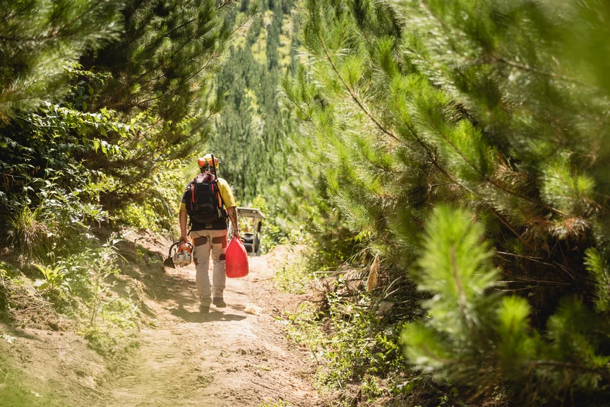 A man walks along a forest path carrying a backpack and other tools.