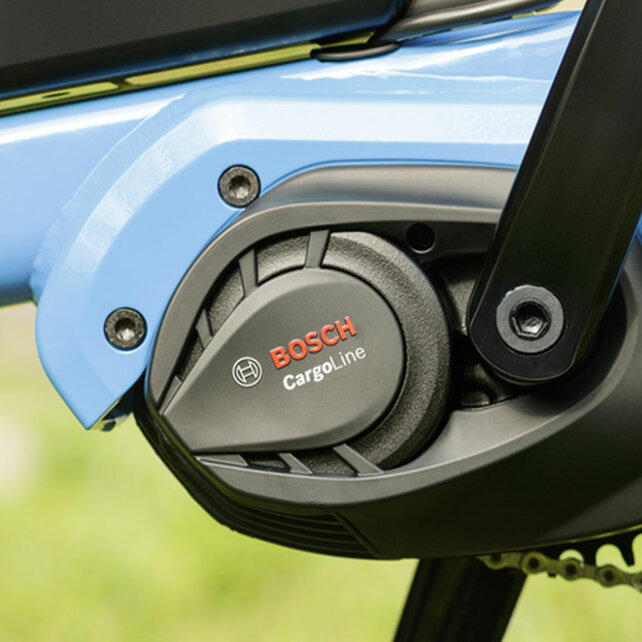 Nahaufnahme af Cargo Line på en blå eBike.