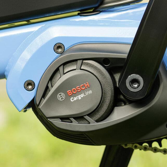 Primo piano della Cargo Line su un eBike blu.