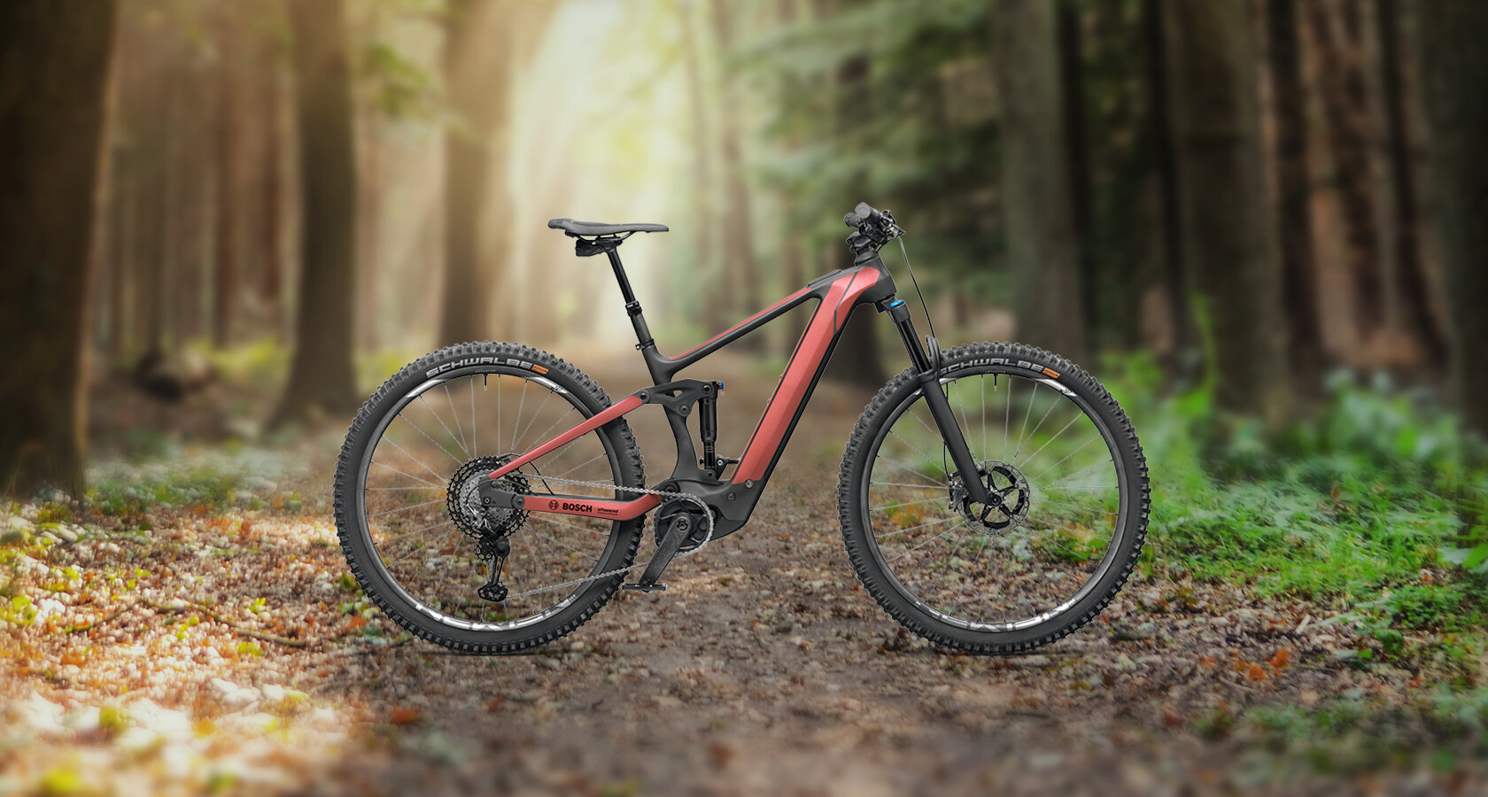 Ein eBike wird vor einem Wald als Hintergrund präsentiert.