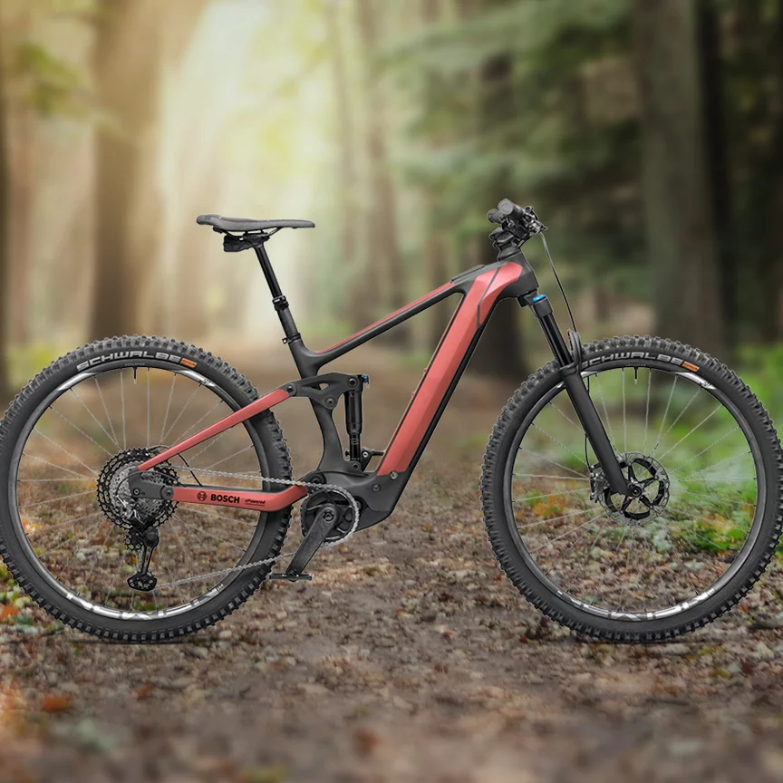 Un vélo électrique est présenté devant une forêt en arrière-plan.