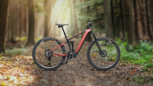Ein eBike wird vor einem Wald als Hintergrund präsentiert.