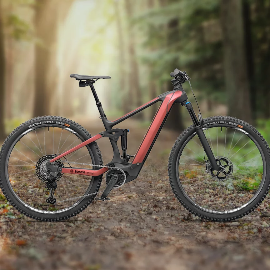 Un vélo électrique est présenté devant une forêt en arrière-plan.